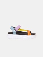 Multicolor