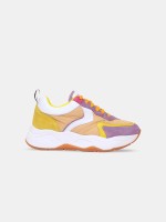 Multicolor