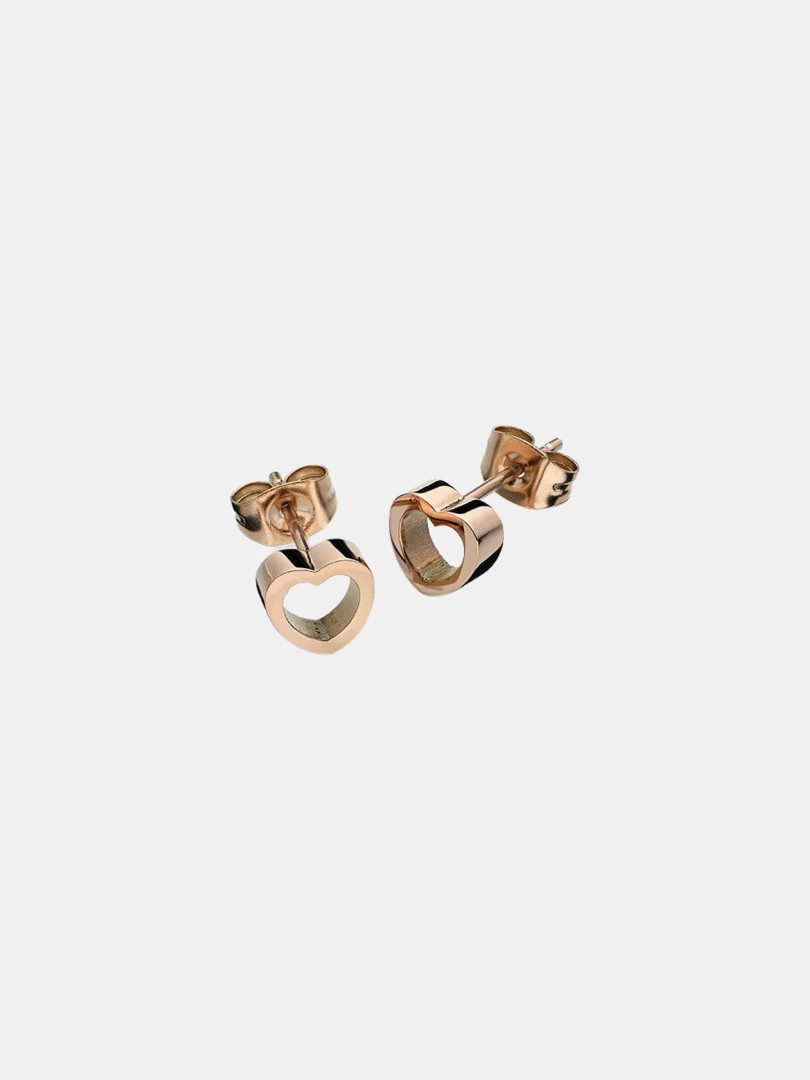 Brincos Anjewels