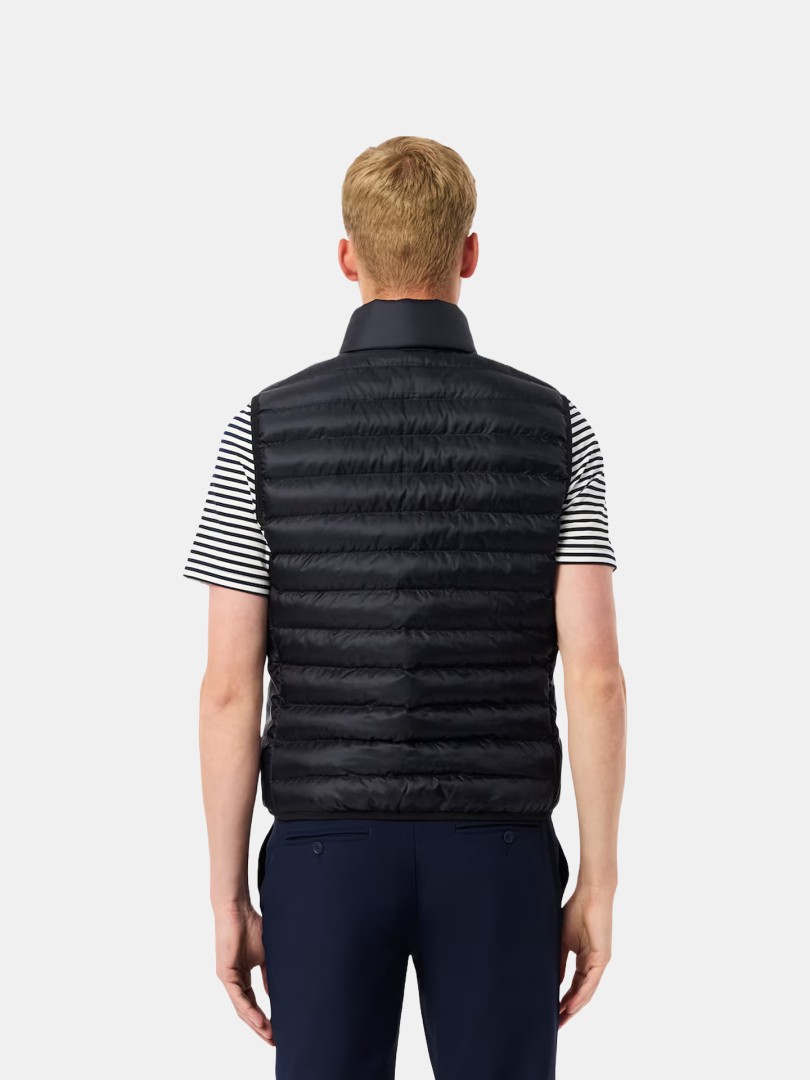Colete acolchoado Lacoste