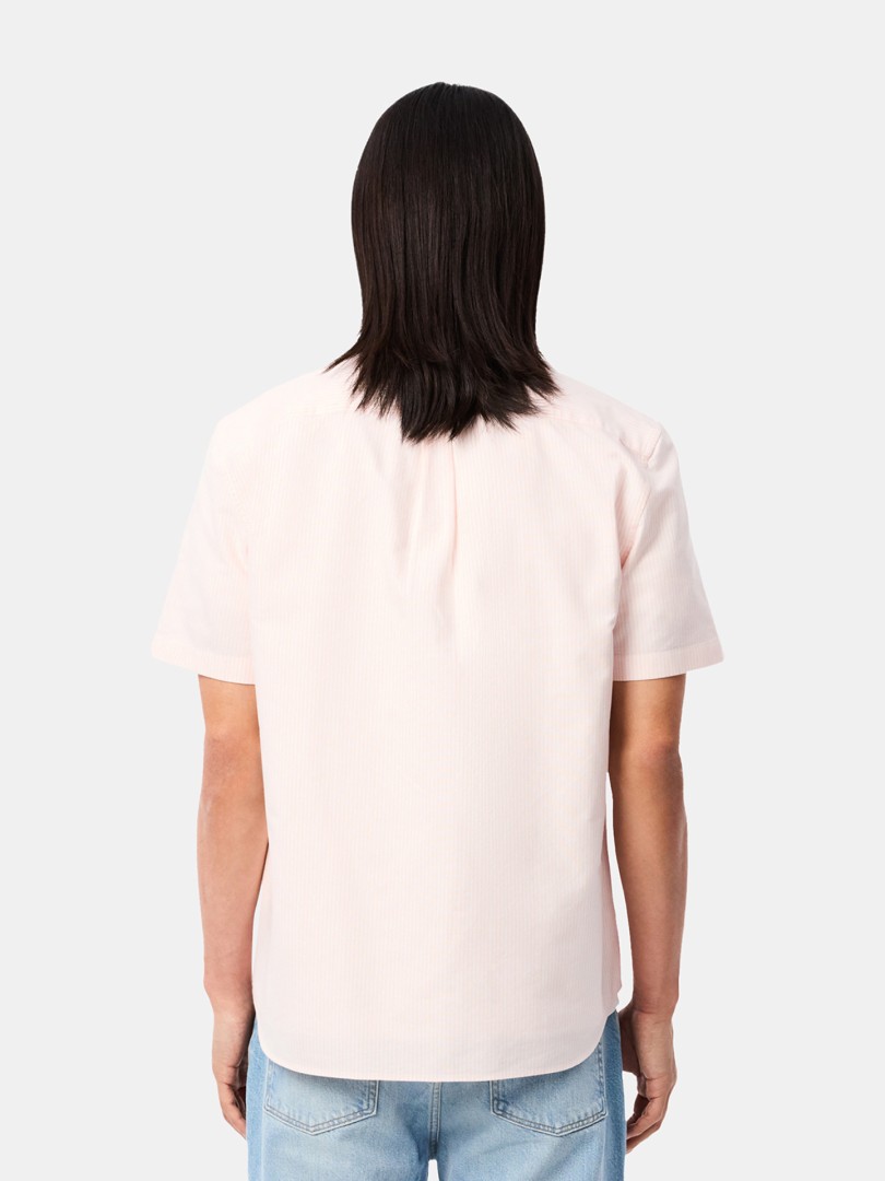 Camisa manga curta Lacostes