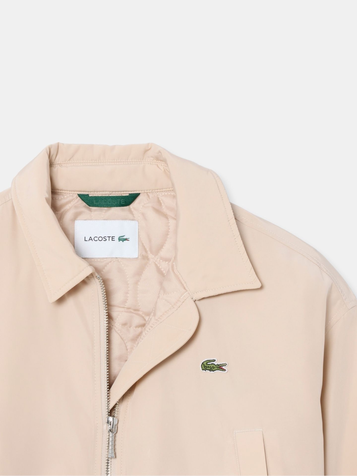 Bomber Lacoste